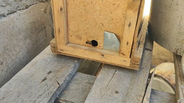 Лучшая ловушка для пчёл. Делаем ловушки для пчёл сами, легко и просто. смотреть онлайн