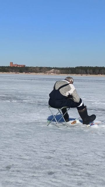 Закрытие сезона 2023. Финский залив. Сестрорецк. Курорт. смотреть онлайн