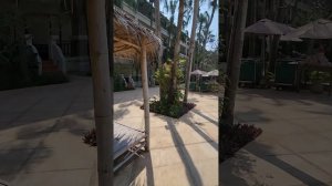 Паттайя обзор отеля Дор-Шада первая линия на Джомтьен