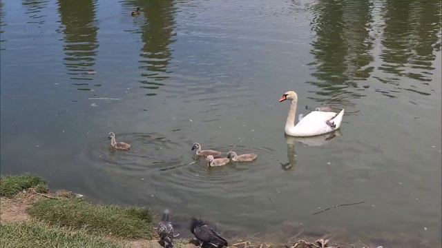 В Крыму сменили МИНИСТРА туризма! #Крым смотреть онлайн