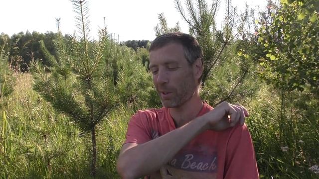 Пеку хлеб. У меня шизофрения? Про бахилу. Говорим о непонятном смотреть онлайн