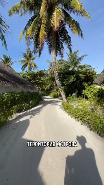 Обзор отеля LUX SOUTH ARI ATOLL МАЛЬДИВЫ смотреть онлайн