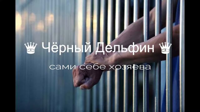 Чёрный Дельфин (-сами себе хозяева-) смотреть онлайн