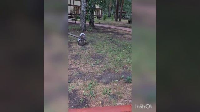 моё первое видео смотреть онлайн