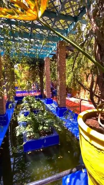 Путешествие в загадочный мир востока | Марокко смотреть онлайн