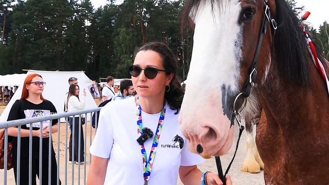 Погладить животных, покататься верхом: в Ивановском прошел конный фестиваль «Иваново поле» смотреть онлайн
