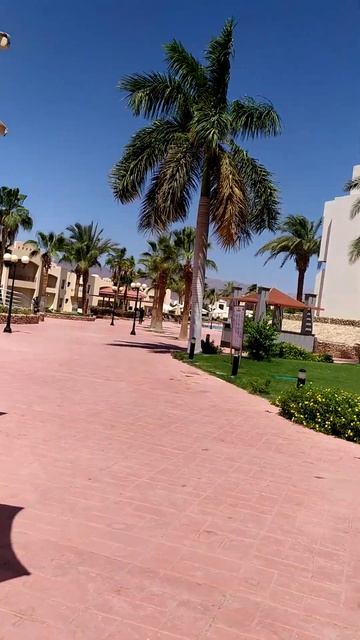 Египет 2023 Xperience Parkland 5* главный басейн отеля смотреть онлайн