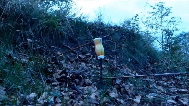 Стрельба из традиционного лука Kaya KTB Karbon с кольцом бамбуковыми стрелами смотреть онлайн