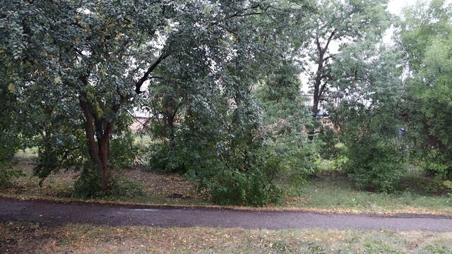 Сентябрьский осений дождь смотреть онлайн