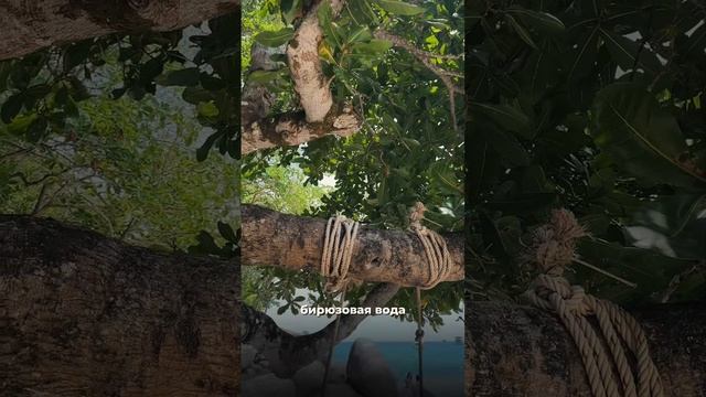 ТОП-9 мест Пхукета, которые должен увидеть КАЖДЫЙ! смотреть онлайн