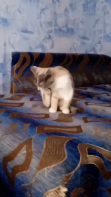 Люся Люся Люсяя Лю Лю Лю Люся Лю Люсенция смотреть онлайн