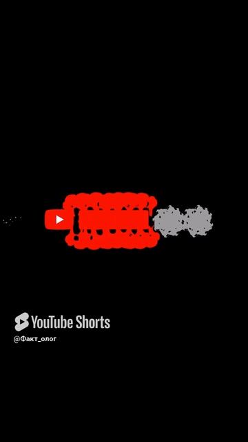 Почему я не улитка?