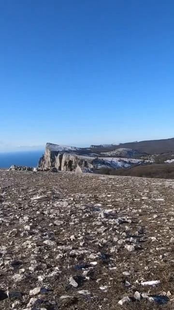 В горах Крыма замечены олени. #крымгоры #оленивгорах #горныеолени #оленивкрыму #замеченыолени #крым смотреть онлайн