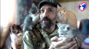 Разместите добро у себя на странице!