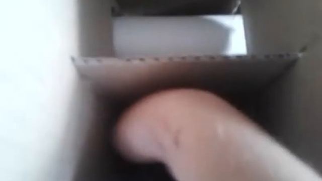 Лабиринт для джунгарика Пампушки