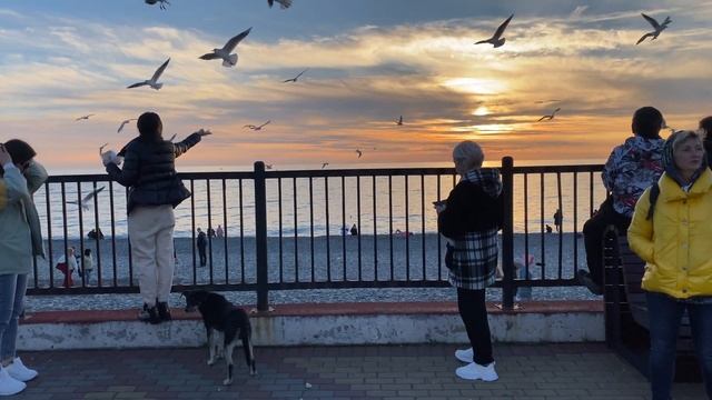 Sochi Adler / Имеретинка / 4k UHD 60fps смотреть онлайн