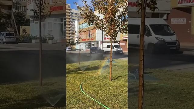 ПЕРЕЕЗД В ТЯЖЕЛЫЕ ВРЕМЕНА. Из Хабаровска в Краснодар 🖇️ смотреть онлайн