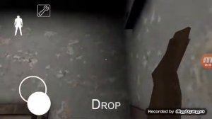 Бапка грени без бапки грени