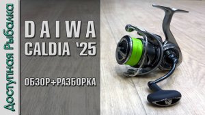 Катушка - Бомба 💣 DAIWA CALDIA LT 2025 | Самая Бюджетная Daiwa c Монококом. Обзор, разборка, тюнинг