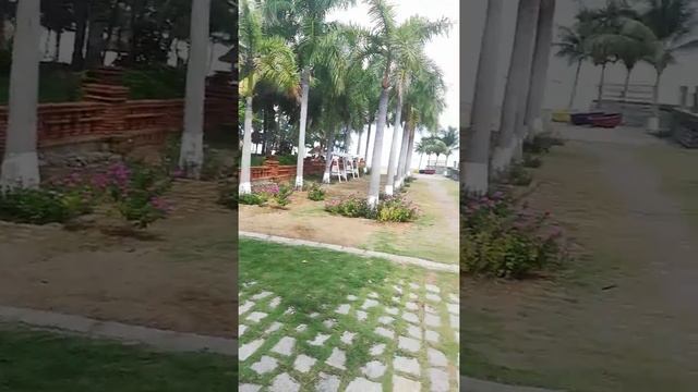 Лонг Туан Фанранг Вьетнам Октябрь 2019 смотреть онлайн