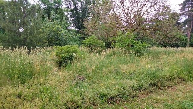 Жизнь во Франции. Из ресторана в парк мечтать о будущем. смотреть онлайн