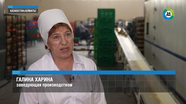 Город со сладким названием: как живет Алматы? смотреть онлайн