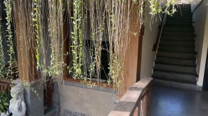 Влог Бали, Убуд | Бали Дача, СПА на природе, Королевский дворец, Магический ресторан