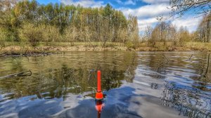 КРУПНЯК ПОШЕЛ! РЫБАЛКА У ДОМА НА ПОПЛАВОК! ВОДА УБЫВАЕТ-РЫБА ПРИБЫВАЕТ🎣