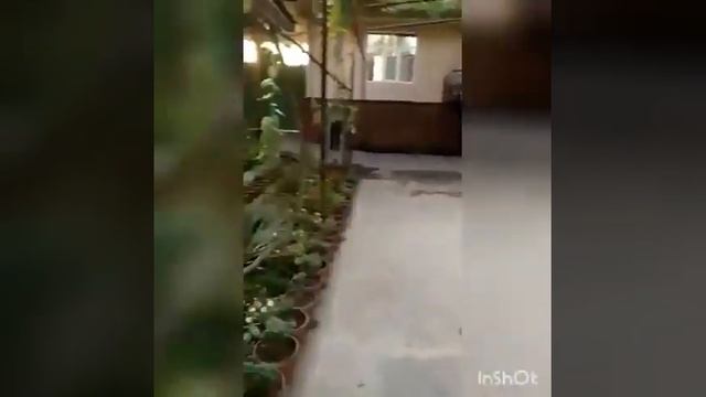 Жалал абад тотя кишлоги смотреть онлайн