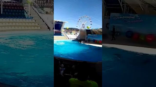 Крым.Коктебель. смотреть онлайн