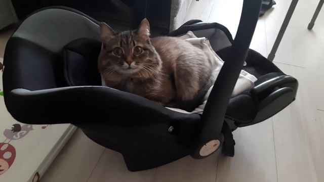 кума выросла смотреть онлайн