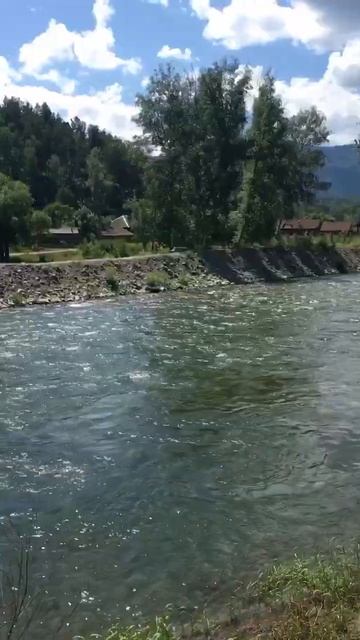 Горный Алтай. Река Чемал. смотреть онлайн