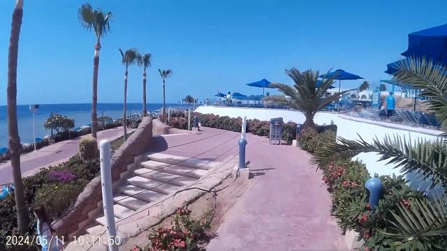 11.05.2024 Пик Альбатрос Палас, Шарм Эль Шейх путь к пляжу .