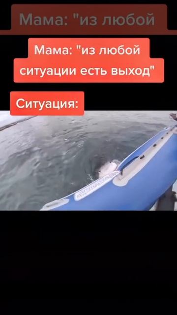 Акуленок туруру #акула #плов #пов #Pov смотреть онлайн