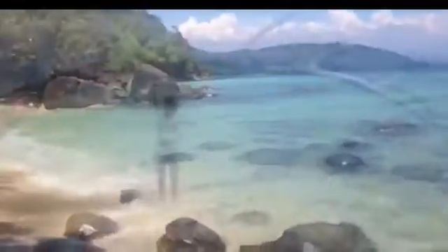 Борнео. Приключения Олюшки смотреть онлайн