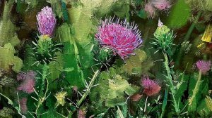 Рисуем Чертополох