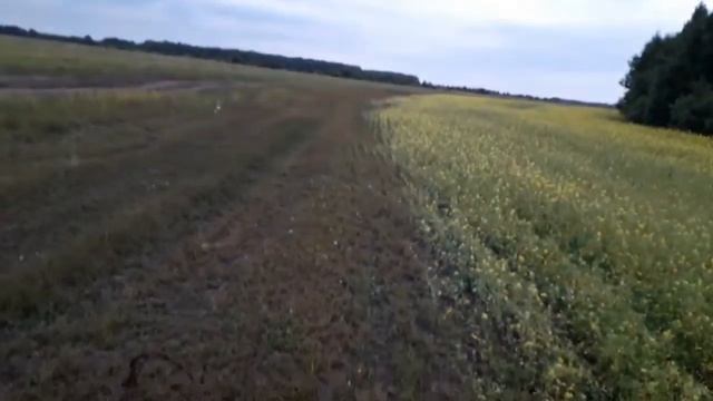 Деньги На Металломе. Сколько Заработал За Июль. смотреть онлайн