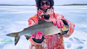 ВЛЕТЕЛИ в воду и ЗАГЛОХЛИ. Рыбалка удалась, но БЕЗ ПРИКЛЮЧЕНИЙ никак!
