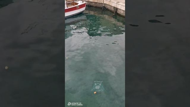 Анталия в Марте. 2023г смотреть онлайн