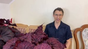 Новости защиты растений от клещей. Акарициды. Нюансы применения.