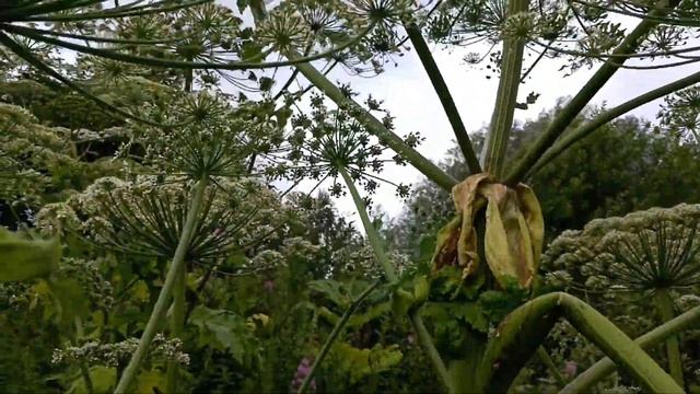 💉 Борьще- вирусом 💉🔥🤞✊борьба💉