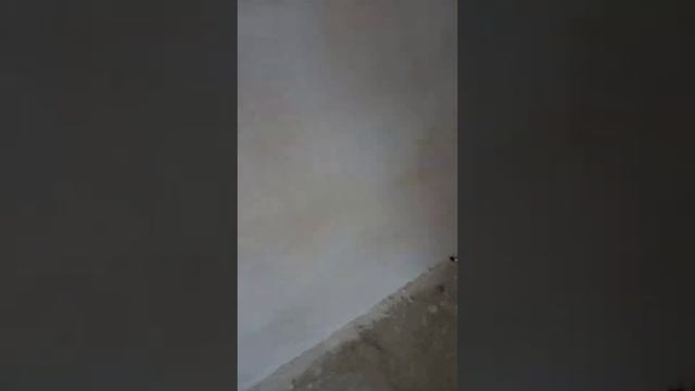 Судак... СЕП... 20/12/2021 ~ День электрика... смотреть онлайн