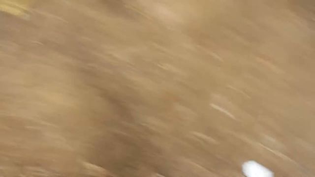 Лоо смотреть онлайн