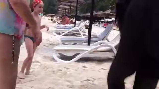 Слоненок Валентин!) смотреть онлайн