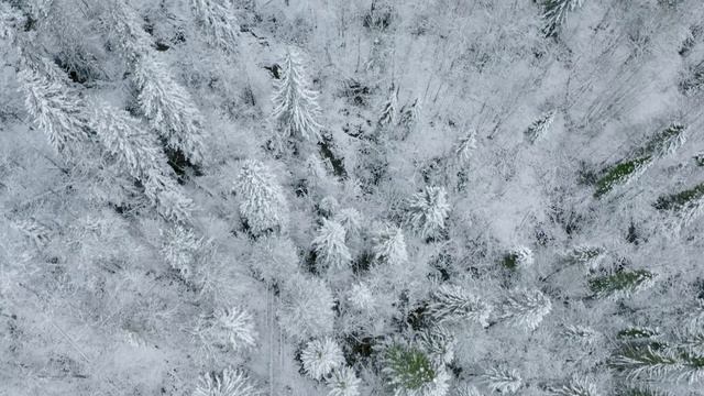 snow season смотреть онлайн