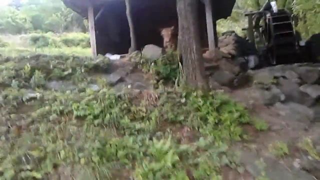 Южная Корея 07 05 2018 смотреть онлайн