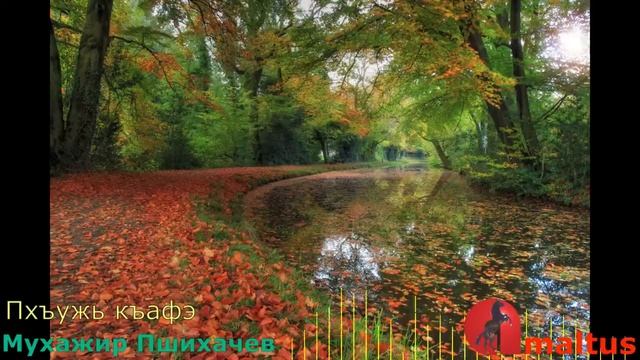 Пхъужь къафэ - Мухажир Пшихачев смотреть онлайн