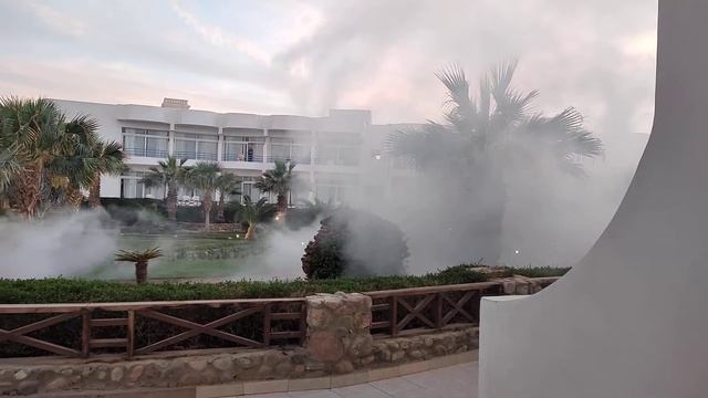 Queen Sharm Hotel, Sharm, травят комаров, нашествие комаров в Шарм-эль-Шейх, Опасный Египет