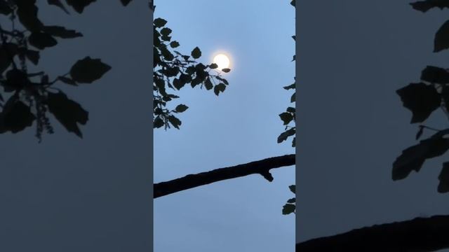 Алтай часть первая. смотреть онлайн