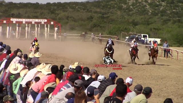 EL VAMPIRO EL HIDALGO LA NOCTURNA LA SALSA HIT#3 смотреть онлайн